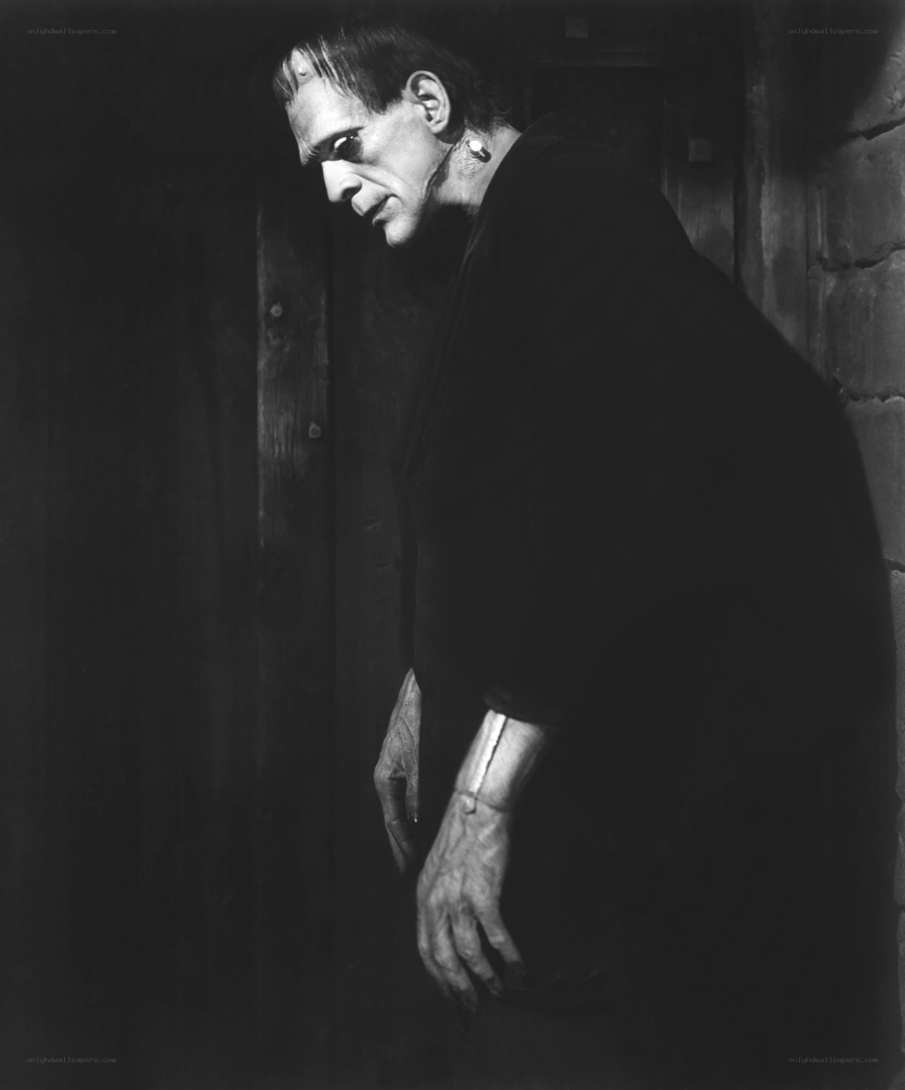 Frankenstein's monster in shadows