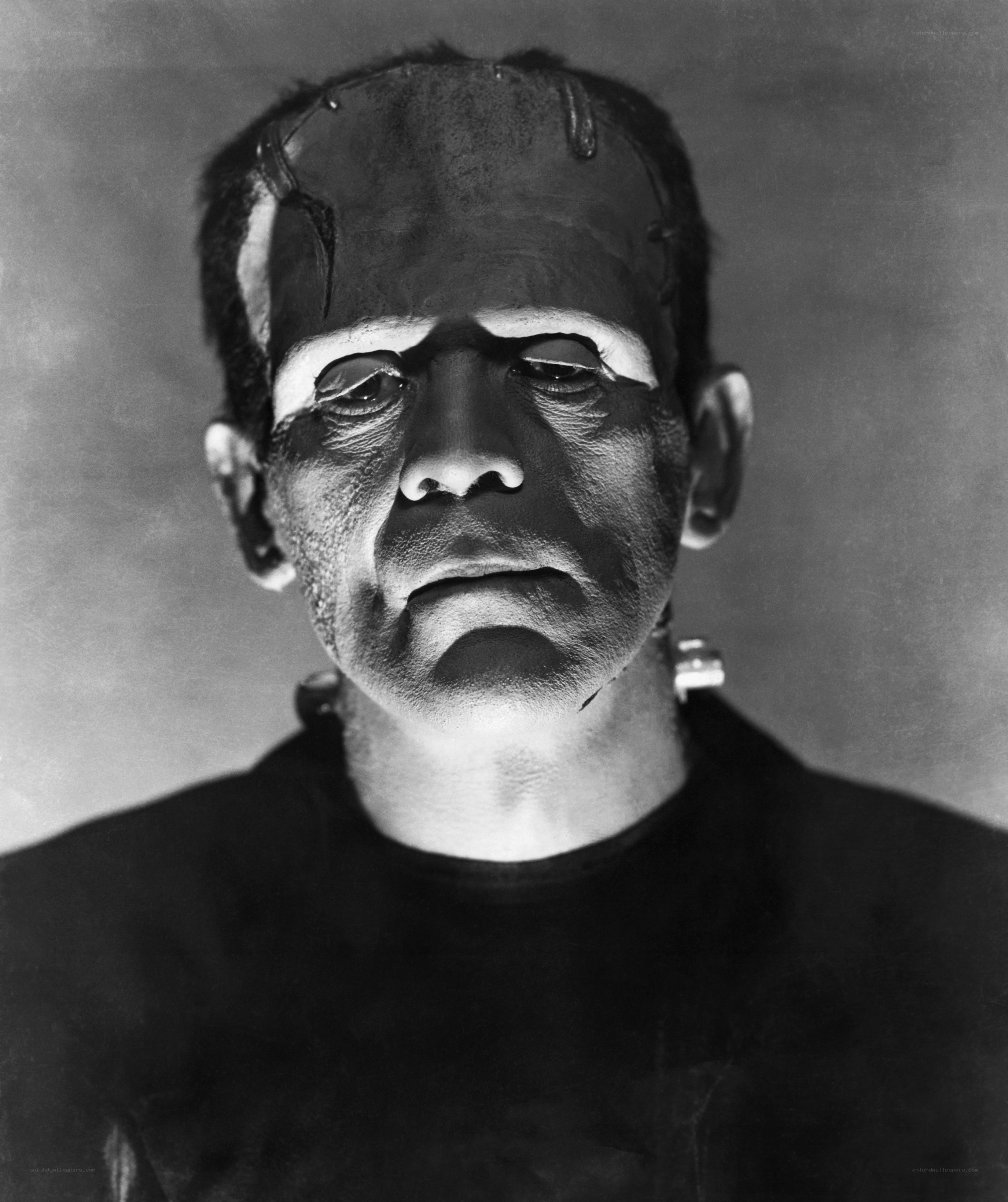 Frankenstein's monster portrait