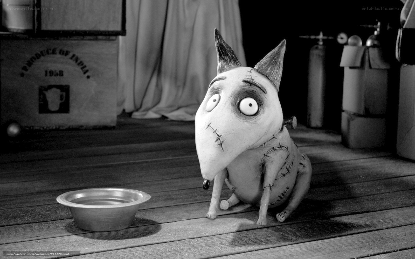 Frankenweenie's dog character