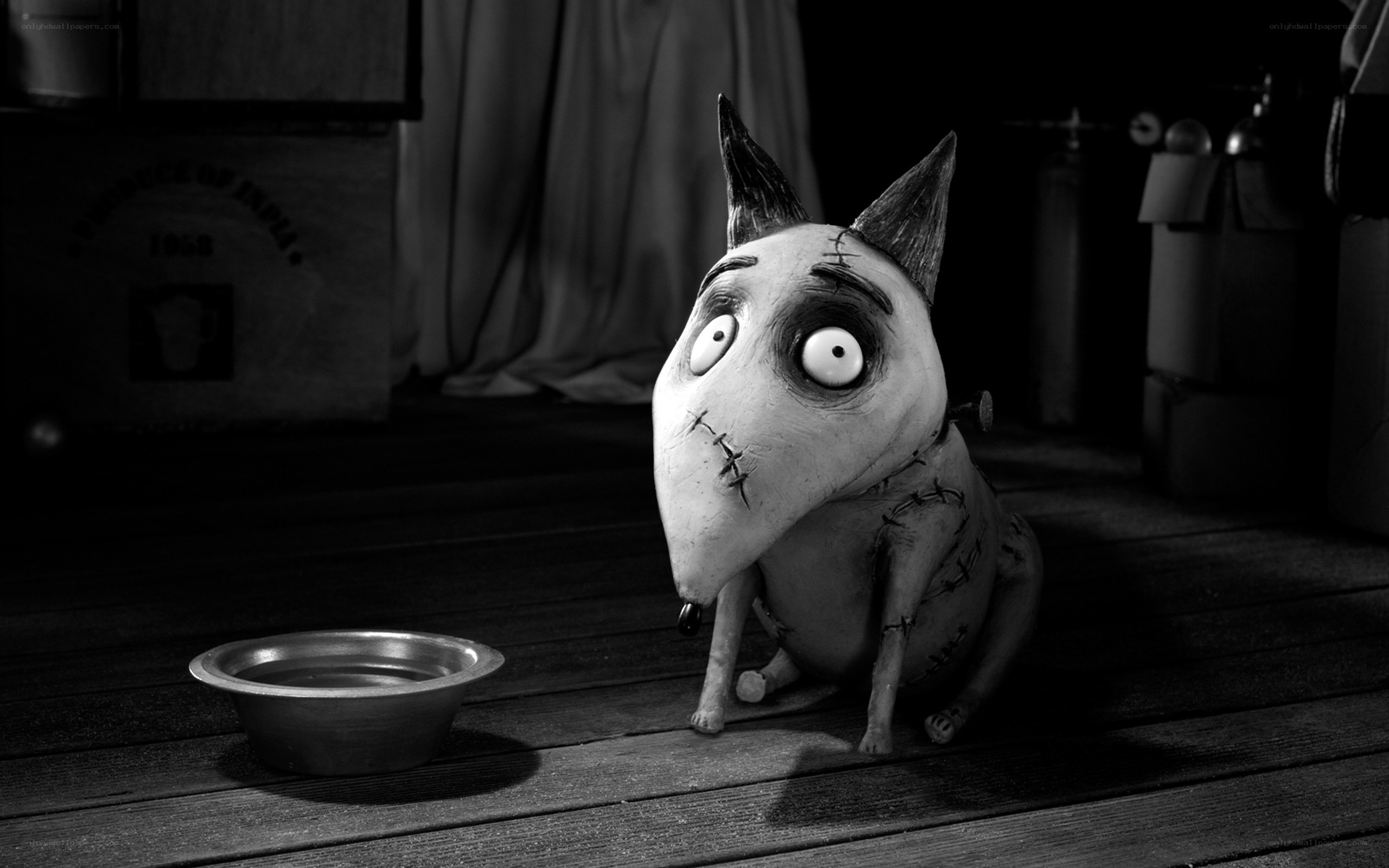 Frankenweenie's dog character