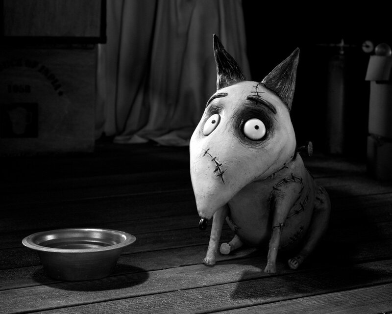 Frankenweenie's dog Sparky