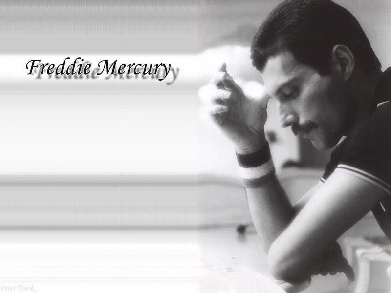 Freddie Mercury in Profile