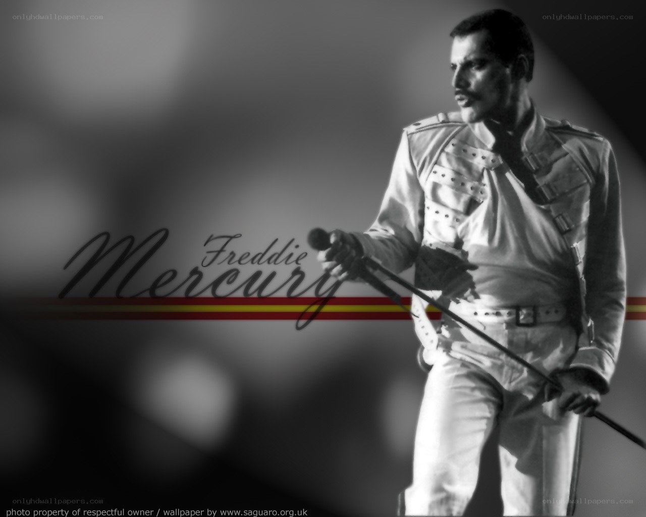 Freddie Mercury performance