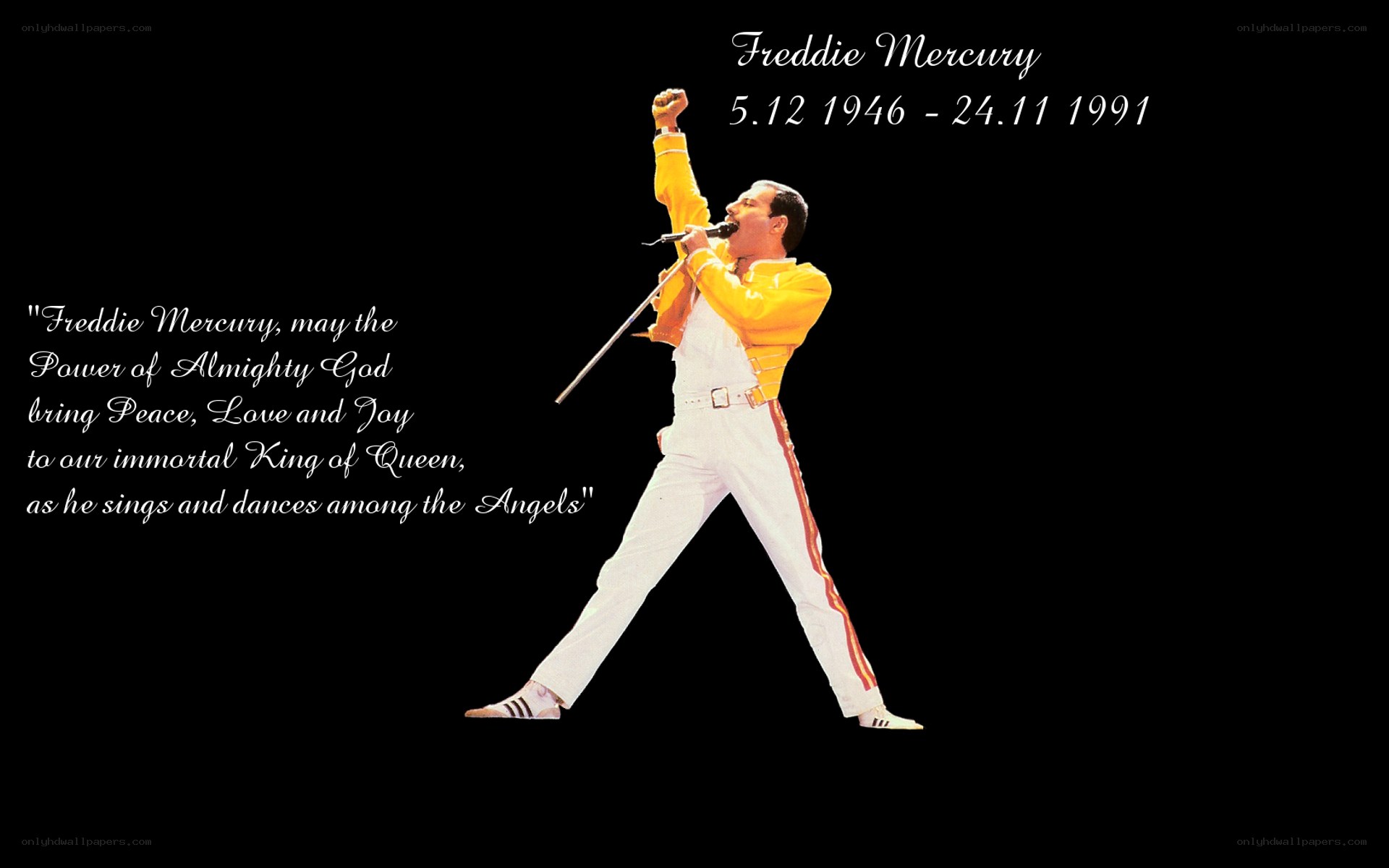 Freddie Mercury tribute