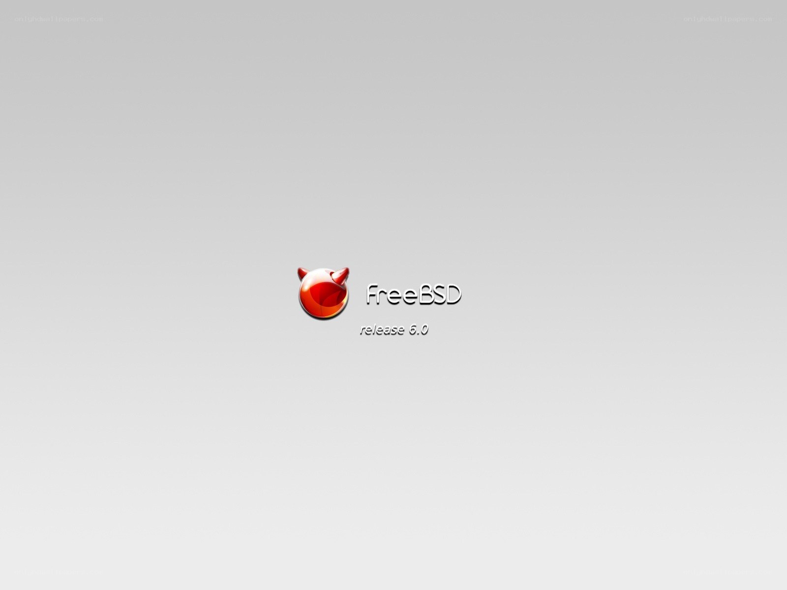 FreeBSD 6.0 release screen