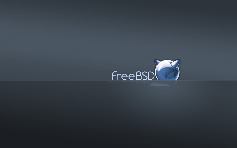FreeBSD Logo — Gray, Minimalist