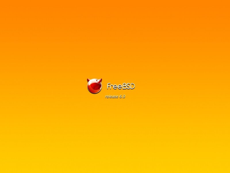 FreeBSD Logo on Gradient — Orange