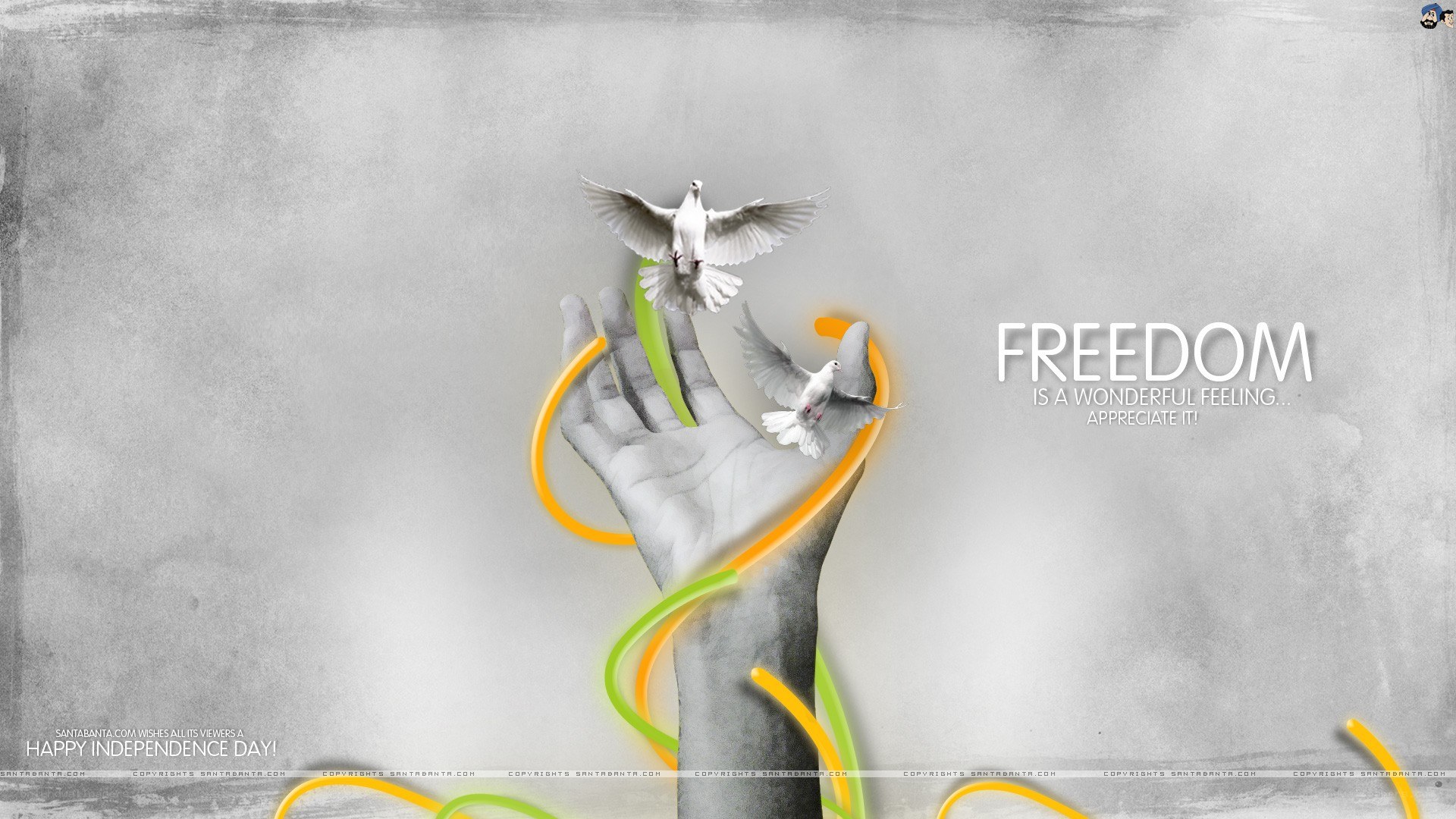 Freedom and peace concept