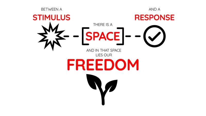 Freedom Between Stimulus and Response