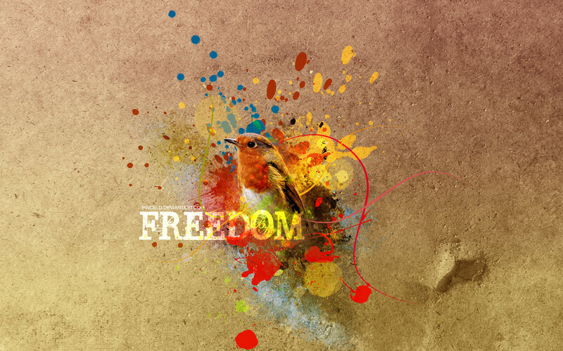 Freedom bird splatter art