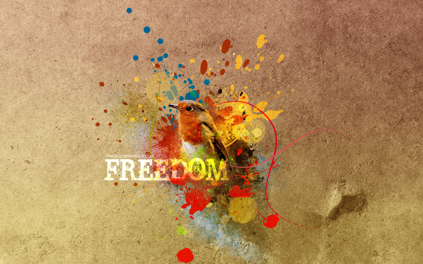 Freedom bird splatter art