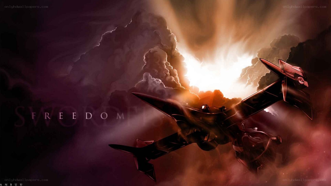 Freedom fighter aircraft