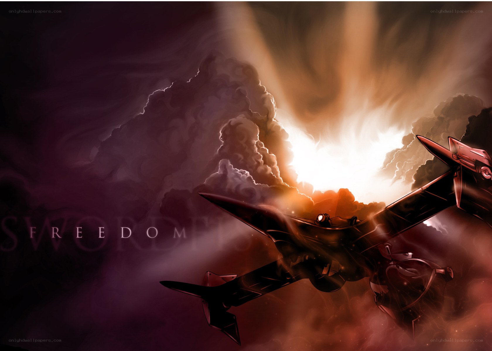 Freedom fighter aircraft