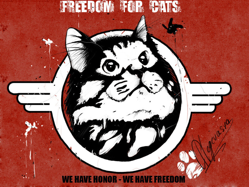Freedom for Cats poster