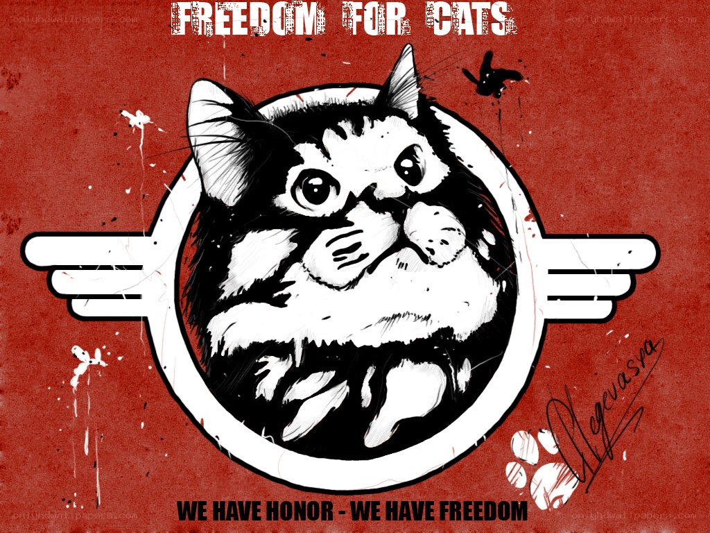 Freedom for Cats poster