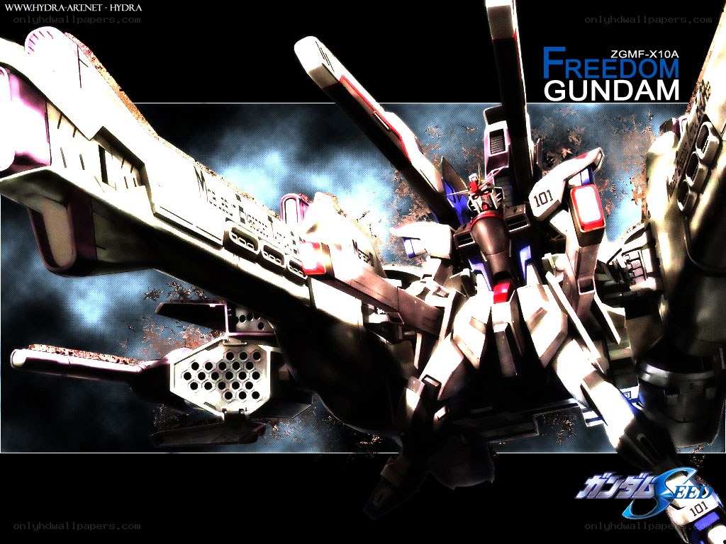 Freedom Gundam in action