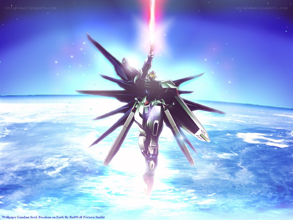 Freedom Gundam on Earth