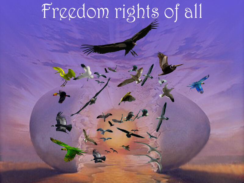 Freedom rights of all