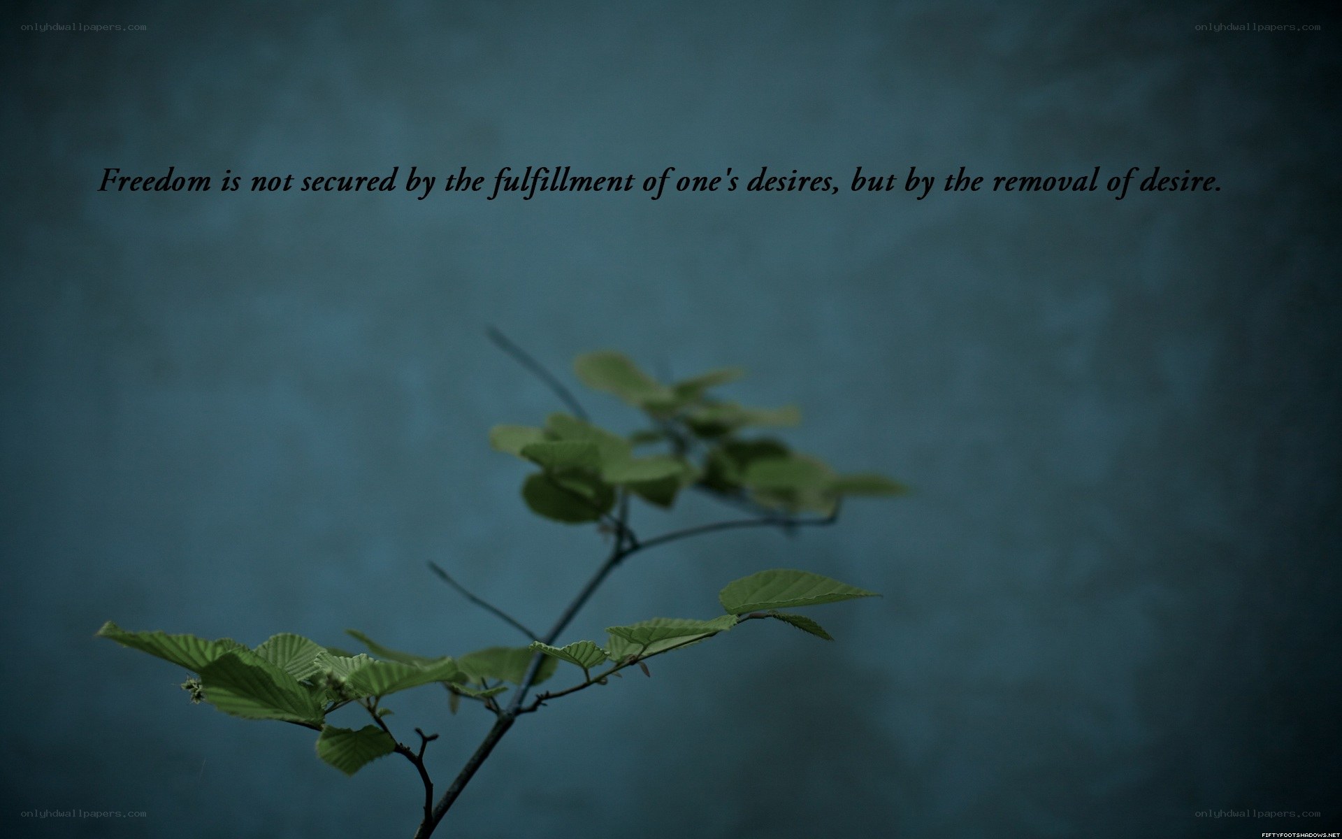 Freedom through desire removal