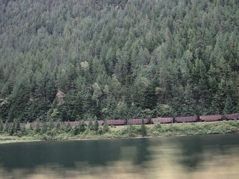 Freight Train in Forest