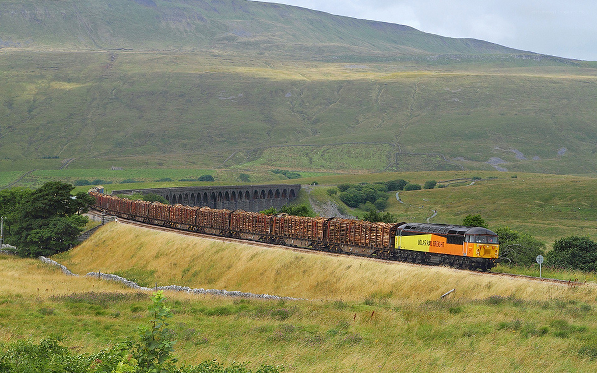 Freight train in the countryside