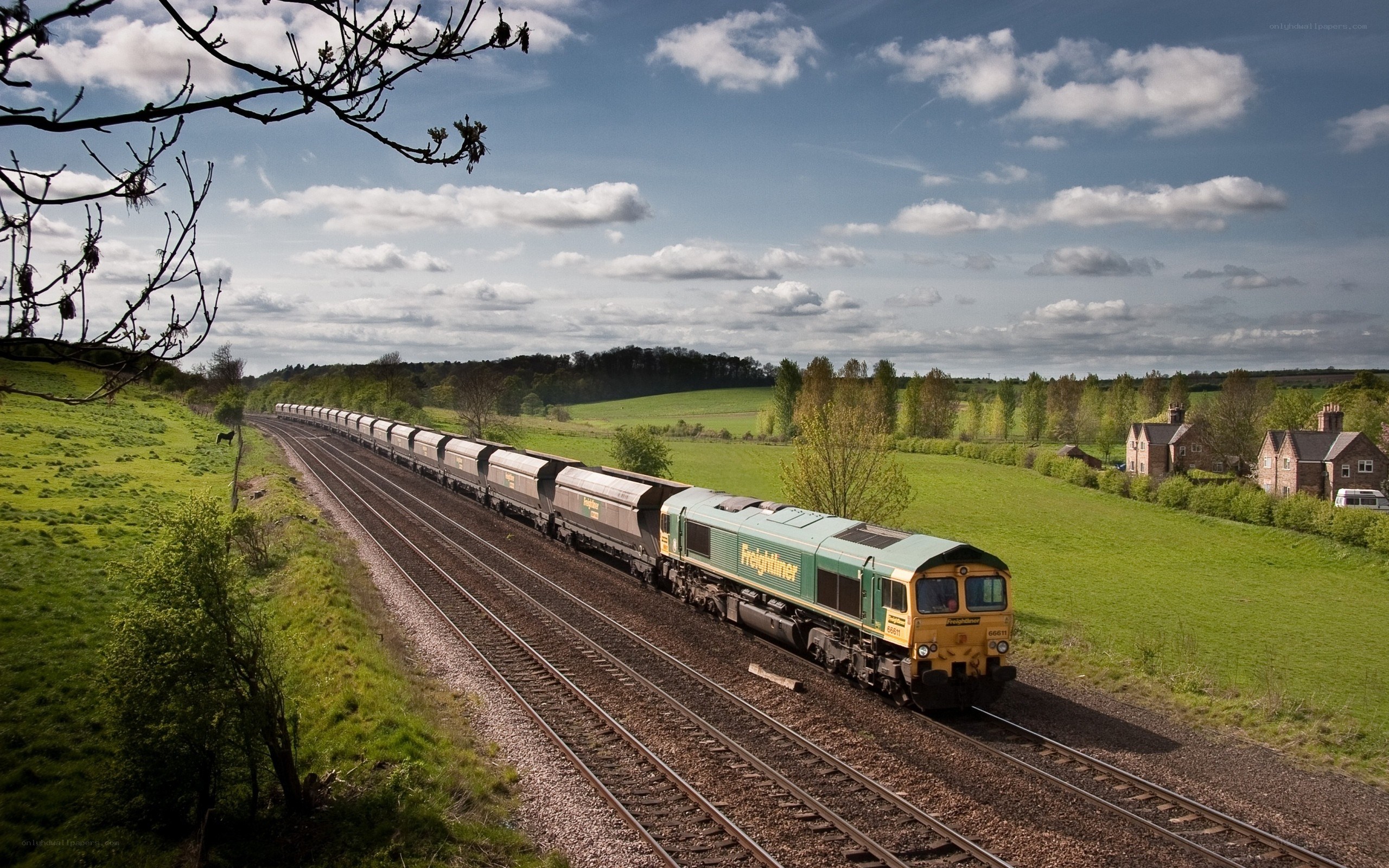 Freight train in the countryside