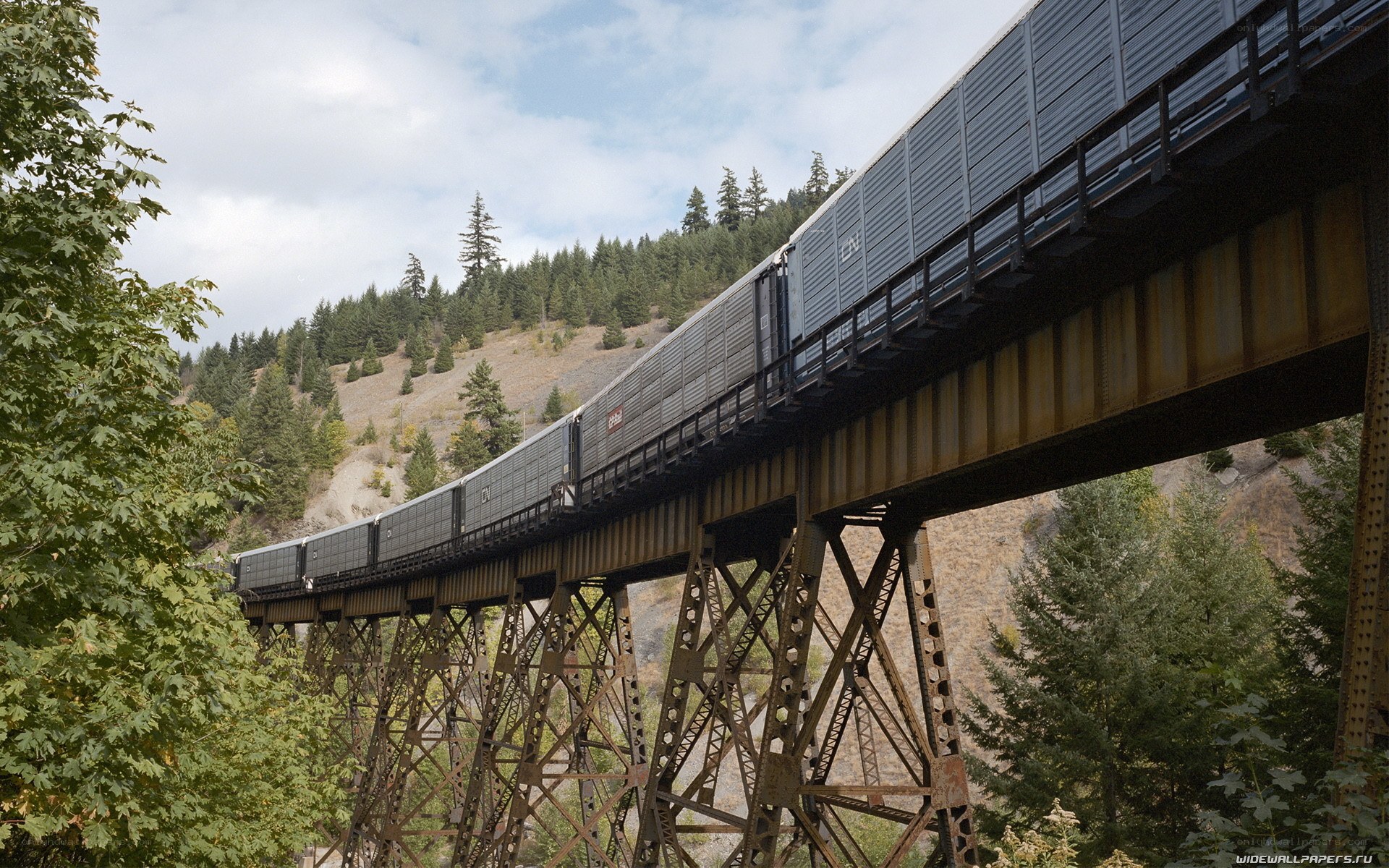 Freight train on a trestle bridge