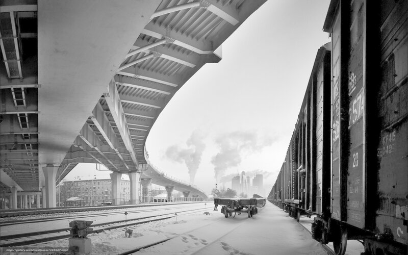 Freight Train under Bridge