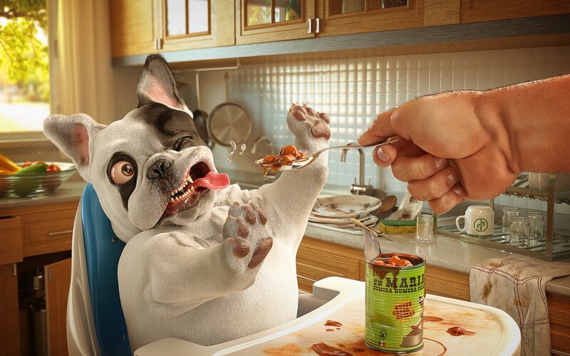 French Bulldog in High Chair