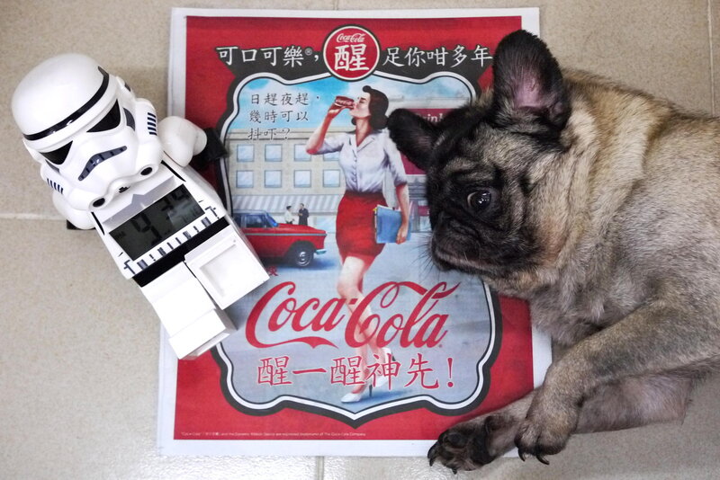 French Bulldog on Poster