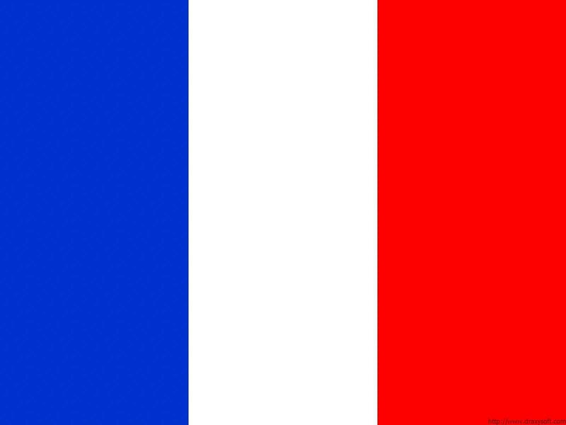 French flag vertical tricolor