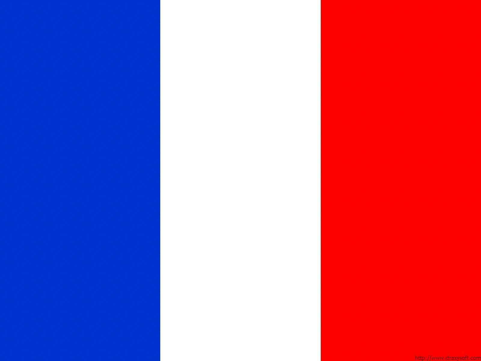 French flag vertical tricolor