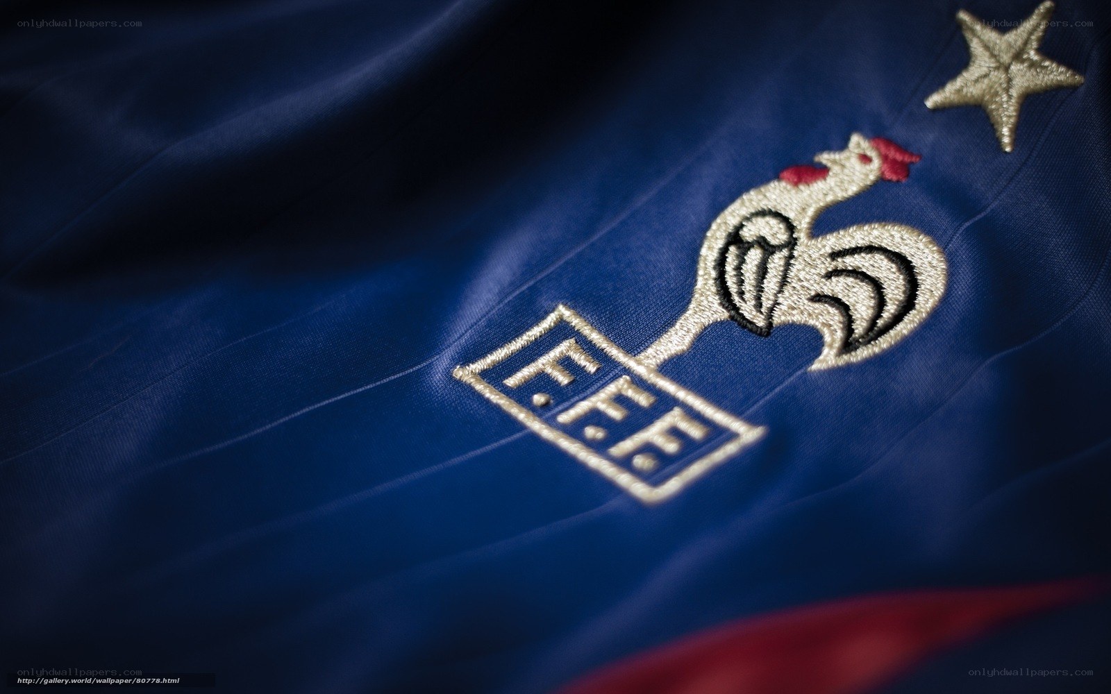 French football crest close-up