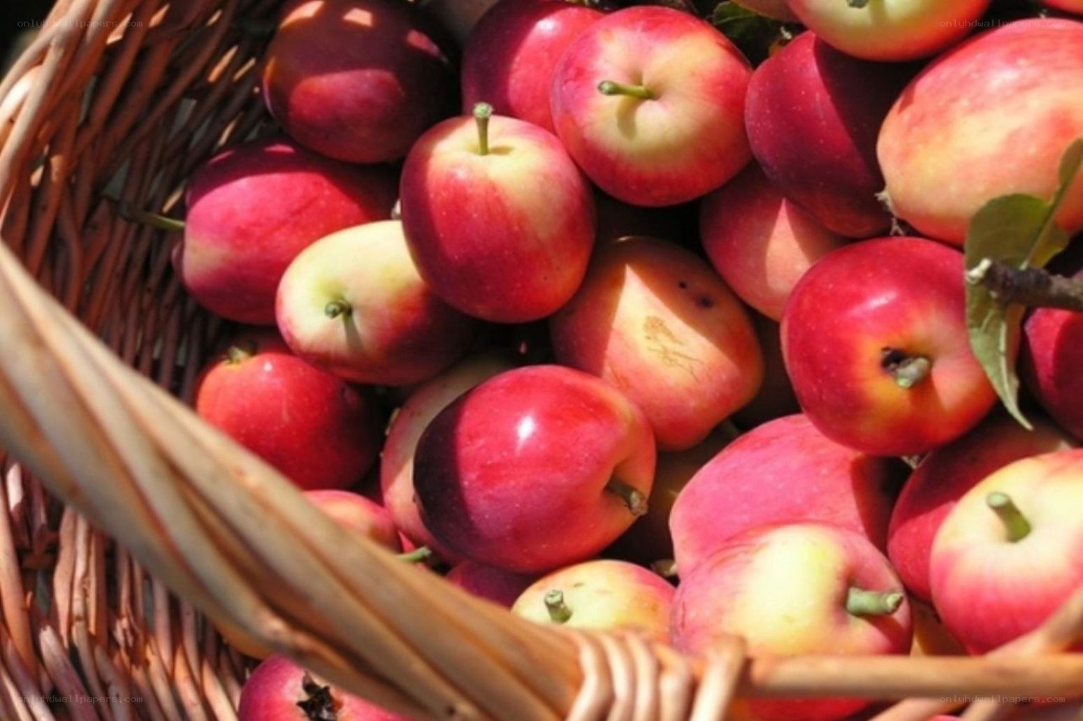 Fresh apples in a basket