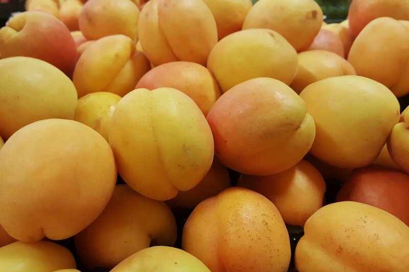 fresh apricots in a pile