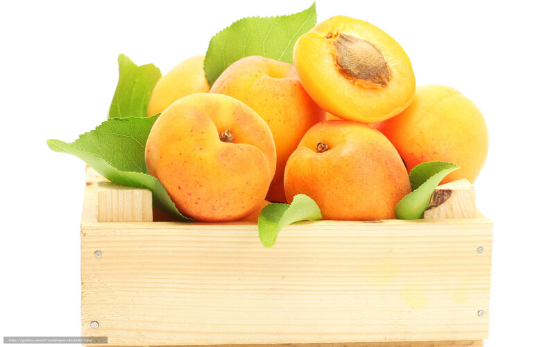 Fresh apricots in a wooden crate