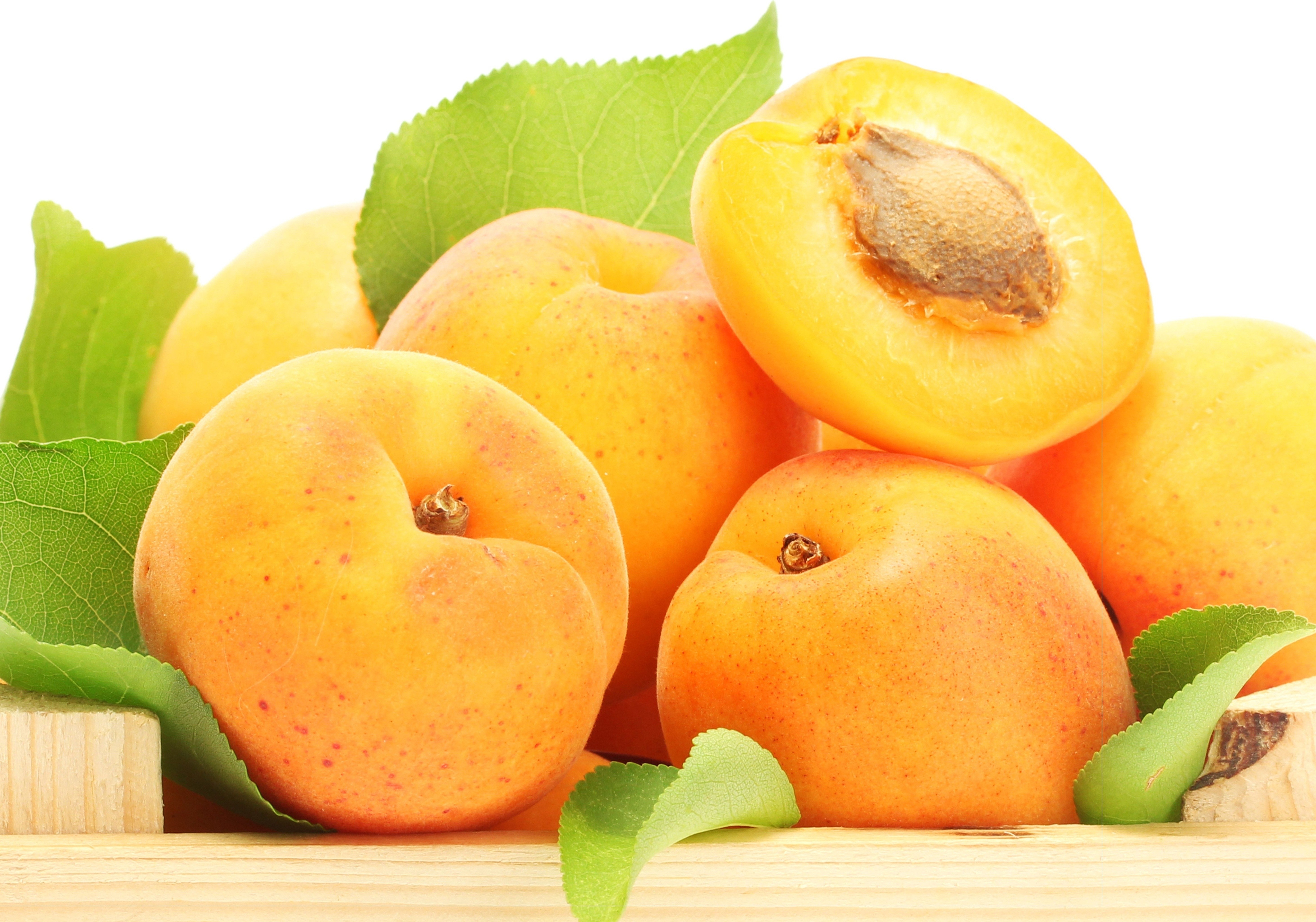 Fresh apricots with green leaves