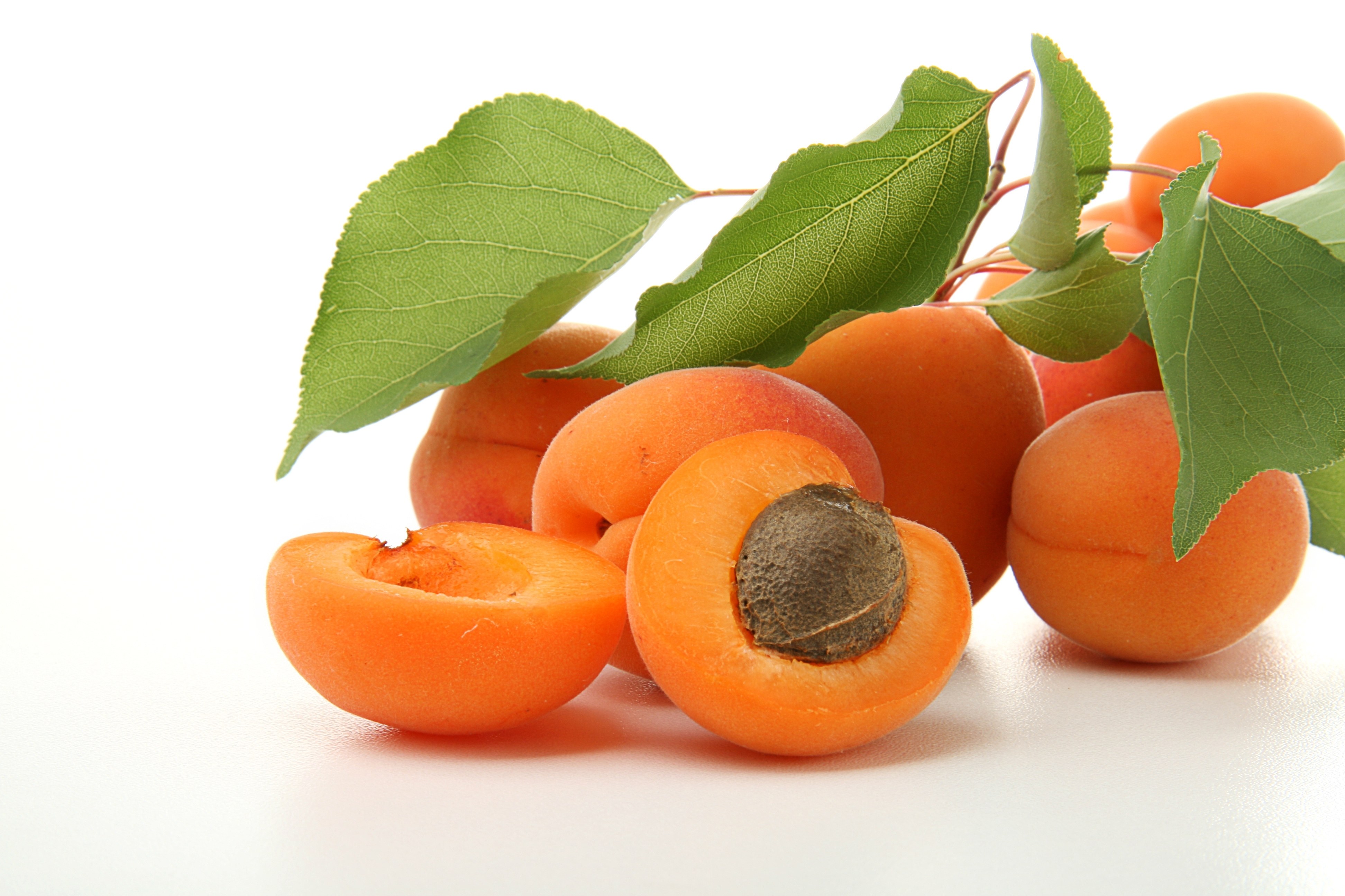 Fresh apricots with leaves