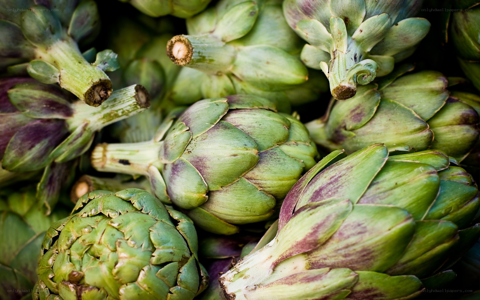Fresh artichokes in a pile