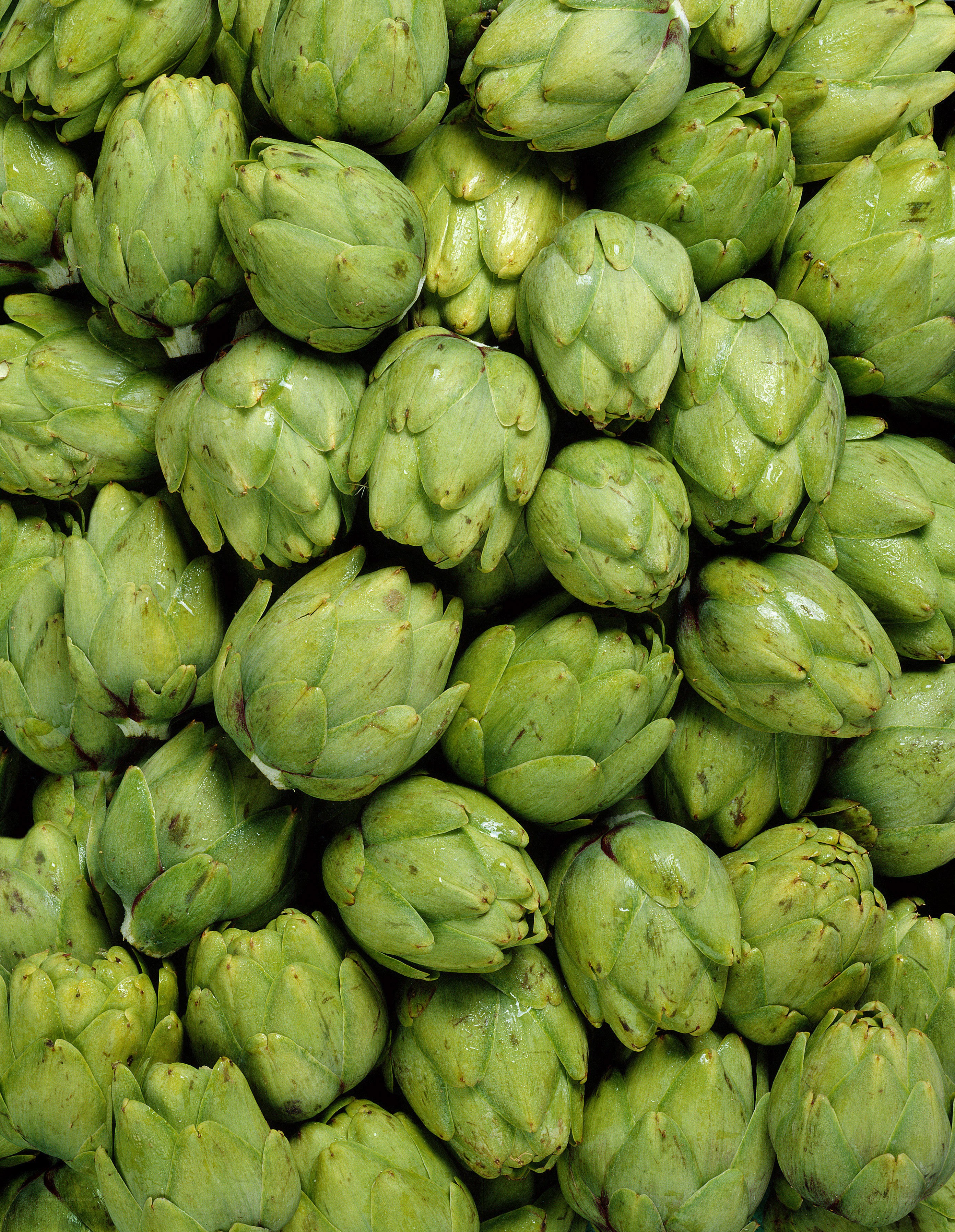 Fresh artichokes in a pile