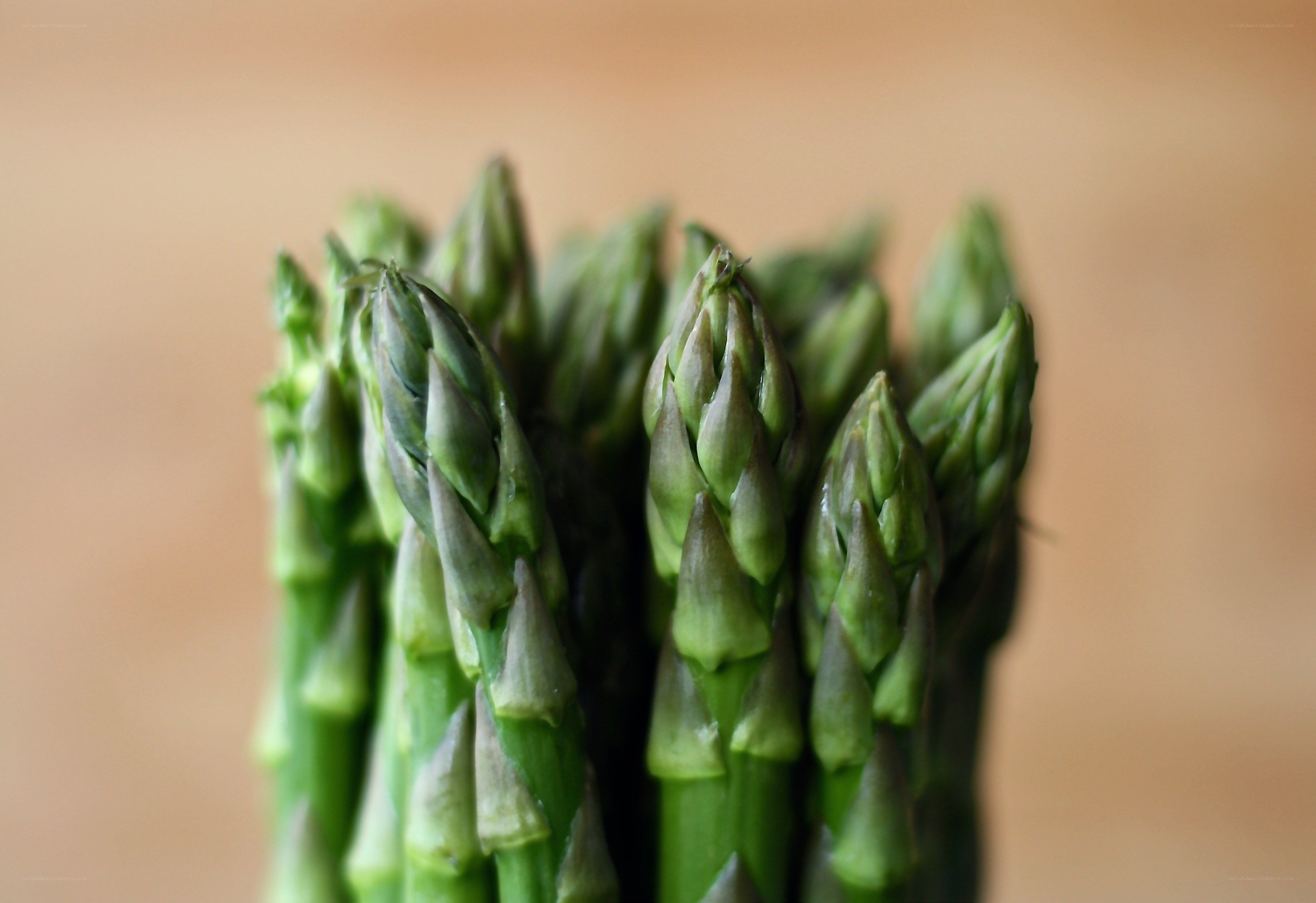 Fresh asparagus spears