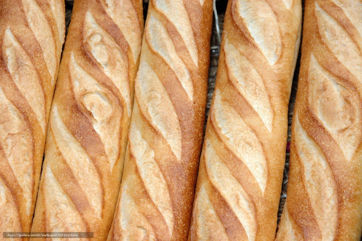 Fresh baguettes in a row
