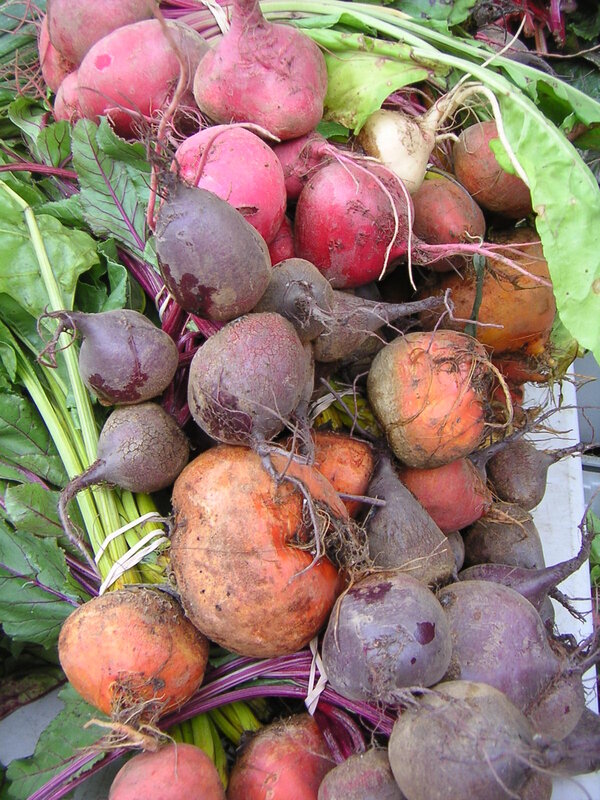 Fresh beets with greens