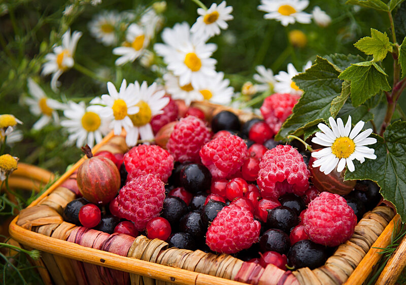 Fresh berries in a basket