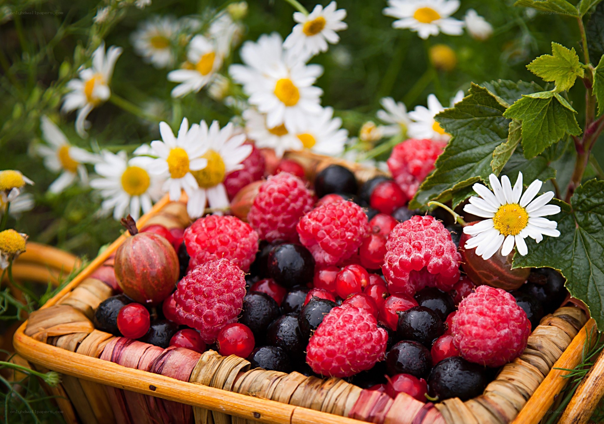 Fresh berries in a basket