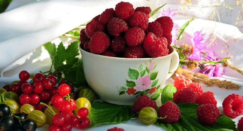 Fresh berries in a floral cup
