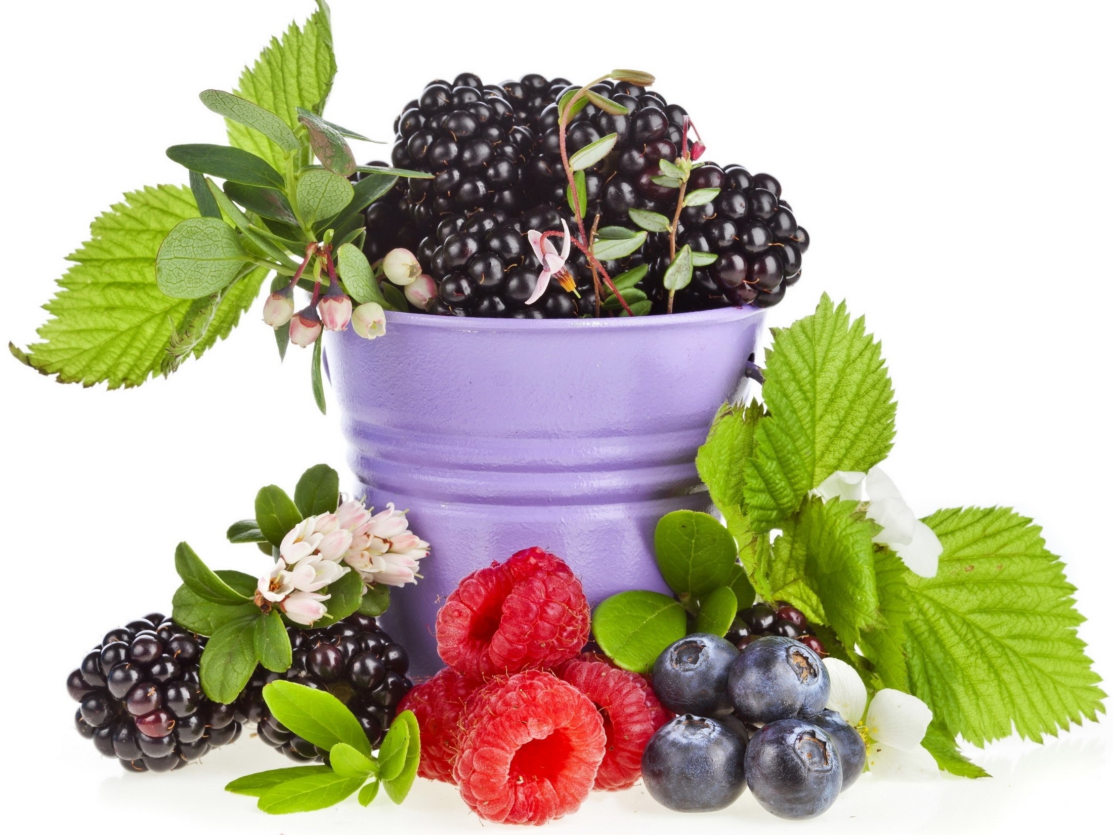 Fresh berries in a purple bucket