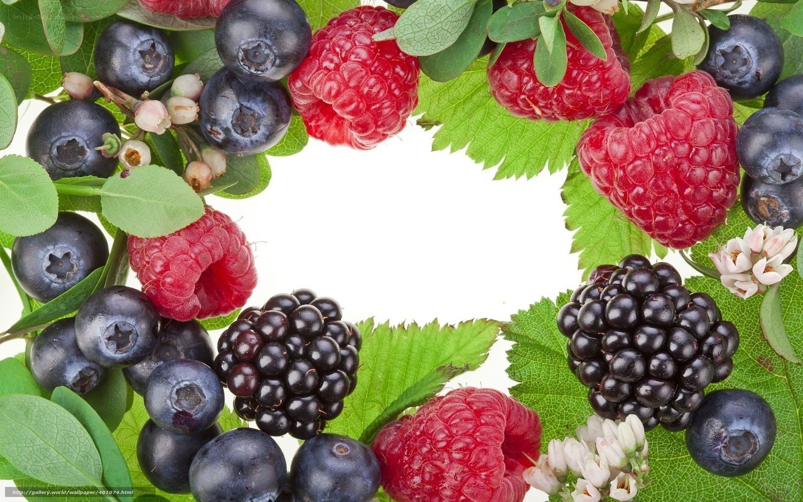 Fresh berries in a wreath