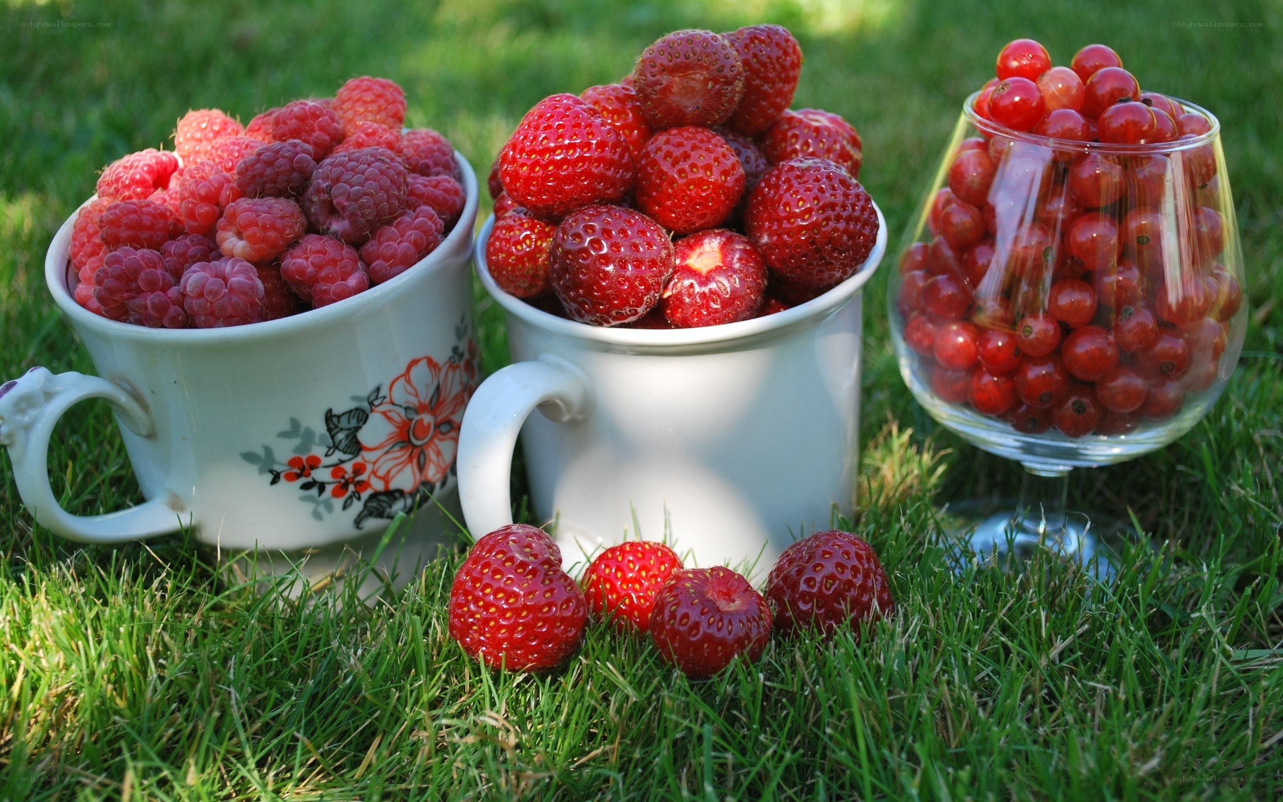 Fresh berries in cups on grass
