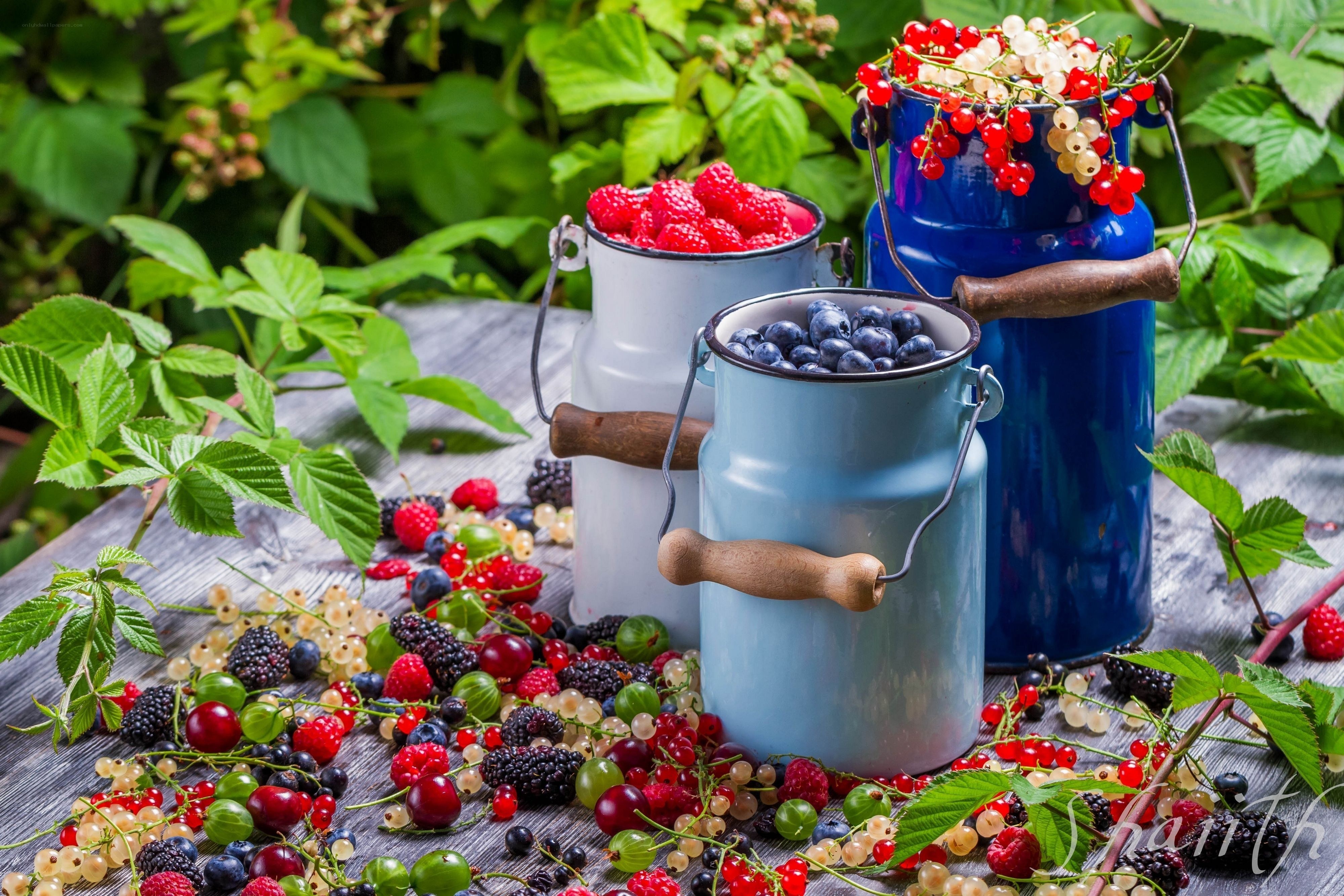 Fresh berries in milk cans